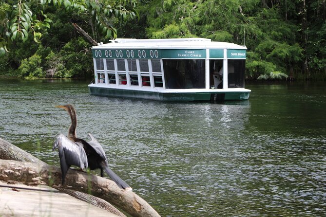 Sassy’s Silver Springs Kayak and Paddleboard Tours - Key things to know before you book
