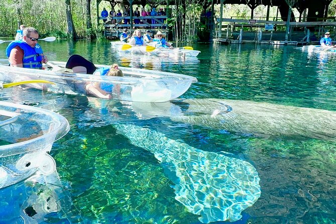 Sassy’s Silver Springs Kayak and Paddleboard Tours - What the two-hour river trip is like