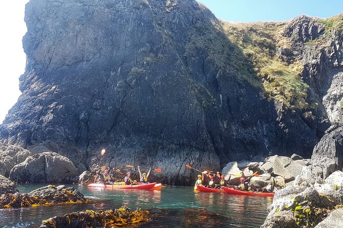 Sea Cave Kayaking Experience - Is $108.87 a fair price?
