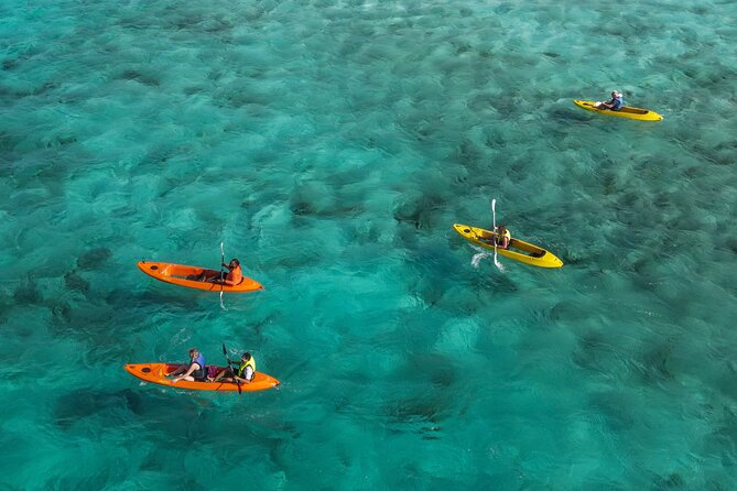 Sea Glass Island and Clear Kayak Adventure - Key details before you book