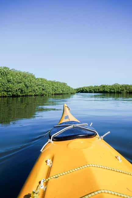 Sea Kayak Tour - Mangrove Safari - Starting at Playa La Posada in La Paz