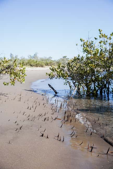 Sea Kayak Tour - Mangrove Safari - Entering the mangroves at Playa El Mogote