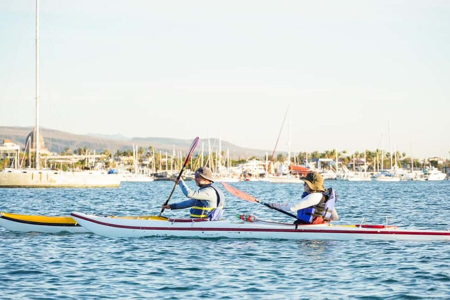 Sea Kayak Tour - Mangrove Safari - Simple ways to prepare