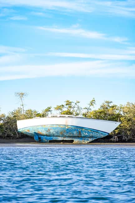 Sea Kayak Tour - Mangrove Safari - The 70-minute paddle across La Paz Bay