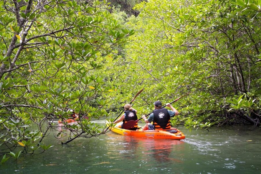 Sea Kayaking in Ao Thalane & Optional Full-Day Hong Island - Paddling through the mangrove channels