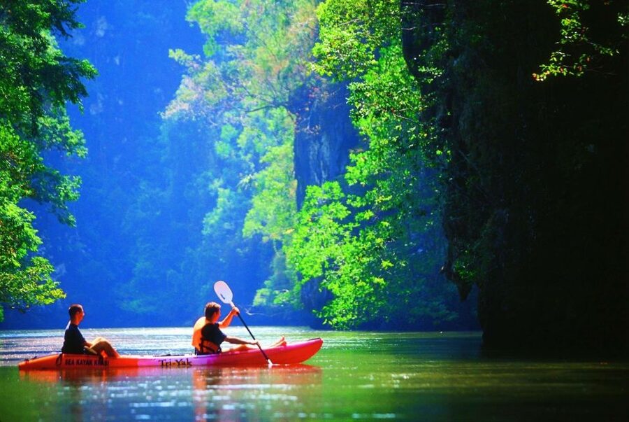 Sea Kayaking in Ao Thalane & Optional Full-Day Hong Island - Wildlife along the water