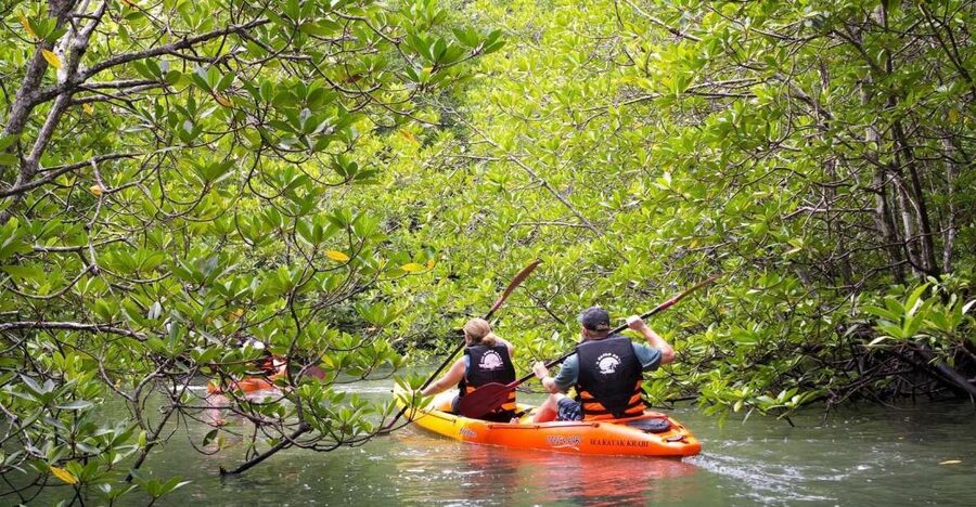 Sea Kayaking in Ao Thalane & Optional Full-Day Hong Island - Lunch, fruit, and the sunset BBQ option