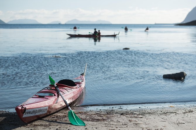 Seakayak And Hike in Ålesund - Lunch keeps the long day manageable