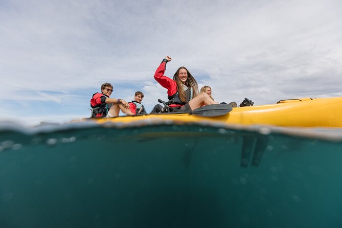 Seal Kayaking Adventure in Kaikoura - Meeting Kaikoura’s fur seals