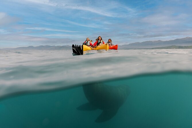 Seal Kayaking Adventure in Kaikoura - Choosing between the seal trip and sunset