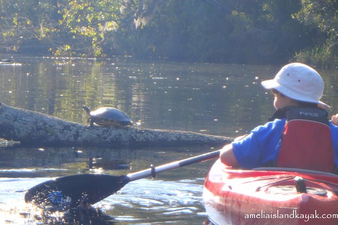 Self Guided Family Friendly Kayak Rental Experience Old Florida - Reaching the Creek Near Yulee