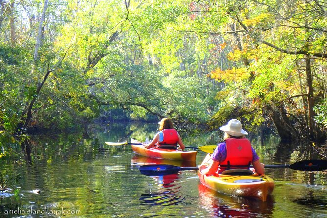 Self Guided Family Friendly Kayak Rental Experience Old Florida - What to Bring for Two and a Half Hours