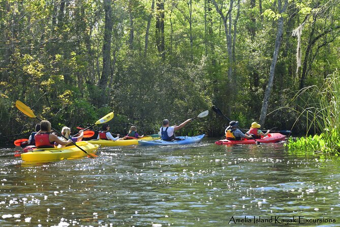 Self Guided Family Friendly Kayak Rental Experience Old Florida - Why the Family-Friendly Label Fits