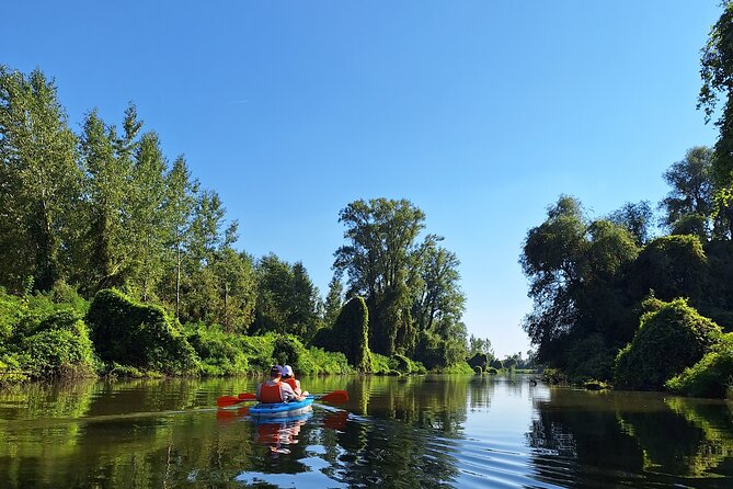 Self-guided kayak tour in Belgrade - Timing, transport, and practical planning