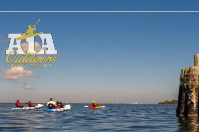 Self-Guided Kayaking Manatee and Dolphin Tour