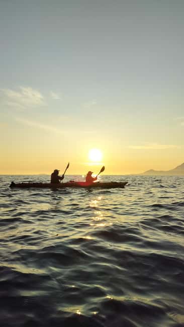 Senja: Guided Small Group Evening Kayaking Tour - Why this evening tour feels different