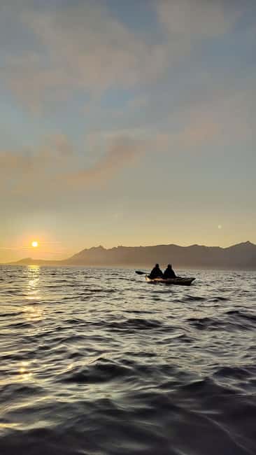 Senja: Guided Small Group Evening Kayaking Tour - The remote beach pause and midnight-sun drink