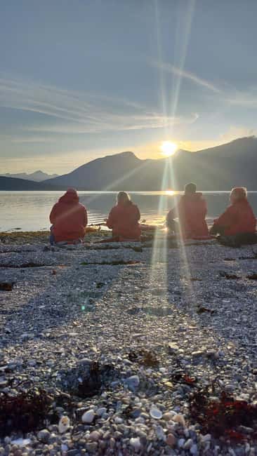 Senja: Guided Small Group Evening Kayaking Tour - Who should book this outing?