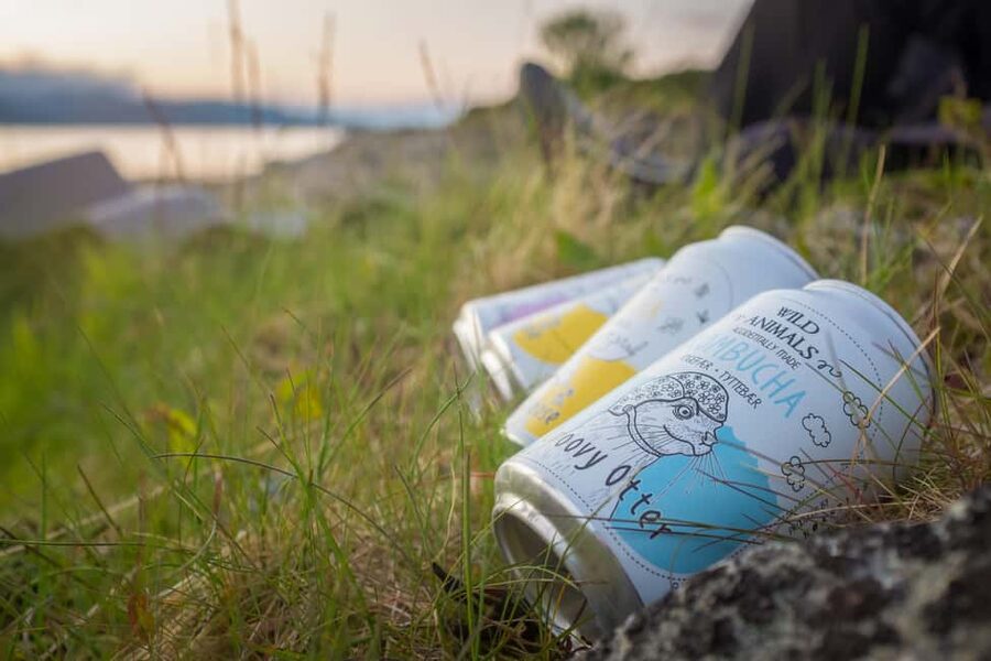 Senja: Guided Small Group Evening Kayaking Tour - FAQ