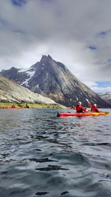 Senja: Guidet Fjord Kayaking in Ånderdalen Nationalpark - Starting at Senja Roasters Café in Stonglandseidet