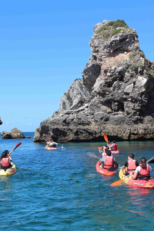 Sesimbra: Ribeiro Cavalo Beach, Caves, & Arrábida Kayak Tour - The break at Ribeira do Cavalo Beach