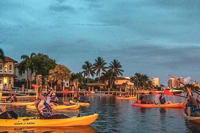Seven Isles of Fort Lauderdale Kayak Tour - Mangroves, sea grapes, and South Florida wildlife