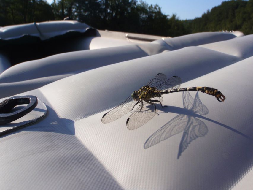 Severin na Kupi: Canoeing and Kayaking on the Kupa River - Seven dams and manageable rapids