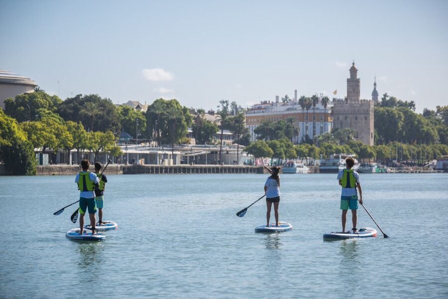 Seville: 1.5-Hour Daytime Standup Paddleboarding Tour - Starting on Calle Betis beside the river