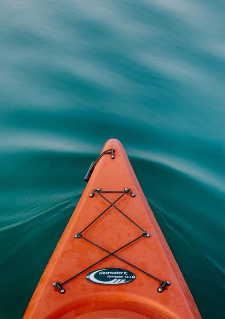 Seville: 1.5 hour Kayak Excursion - A calm introduction for first-time kayakers