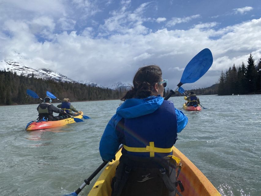 Seward Area Glacial Lake Kayaking Tour 1.5 hr from Anchorage - Who should book this Moose Pass kayak tour?