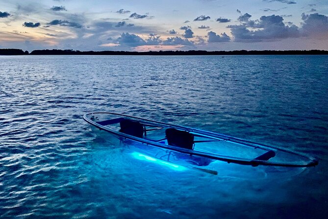Shell Key Clear Kayak Sunset & Glow Tours - Paddling through Shell Key Preserve at dusk