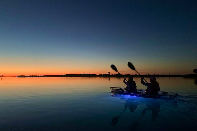 Shell Key Clear Kayak Sunset & Glow Tours - Wildlife, stars, and the limits of nature