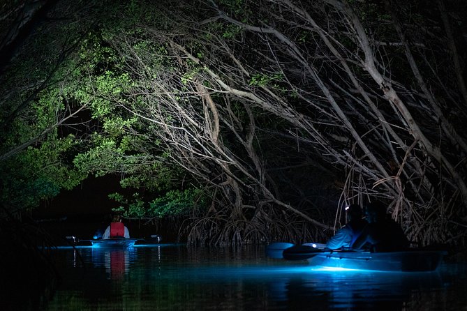 Shell Key Clear Kayak Sunset & Glow Tours - Is the $84 price good value?
