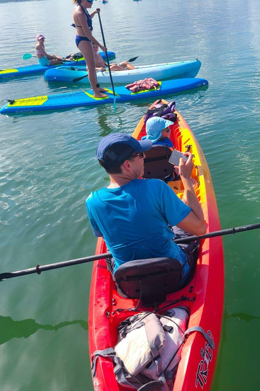 Siesta Key: Mangrove Kayak or Paddleboard Tour - What to bring and what to leave behind