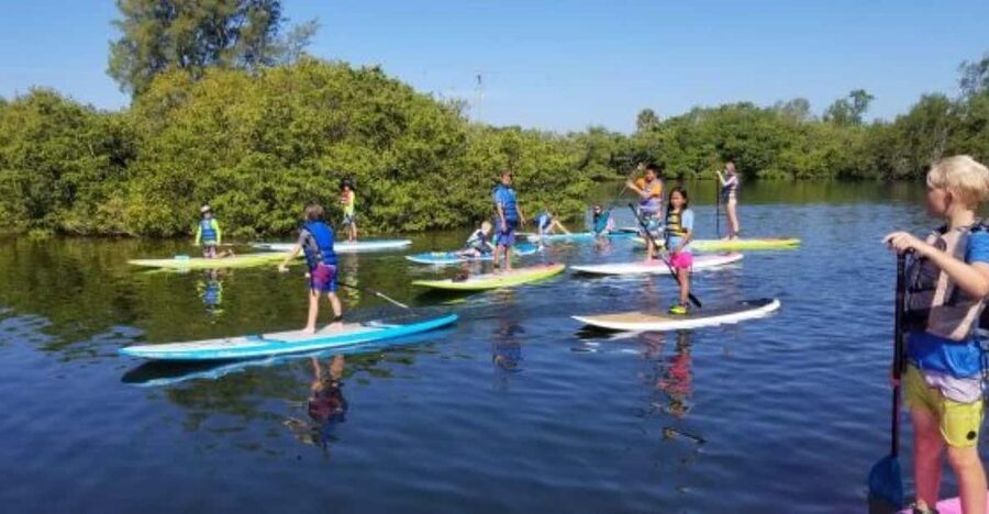 Siesta Key: Mangrove Kayak or Paddleboard Tour - Paddling around the mangrove islands
