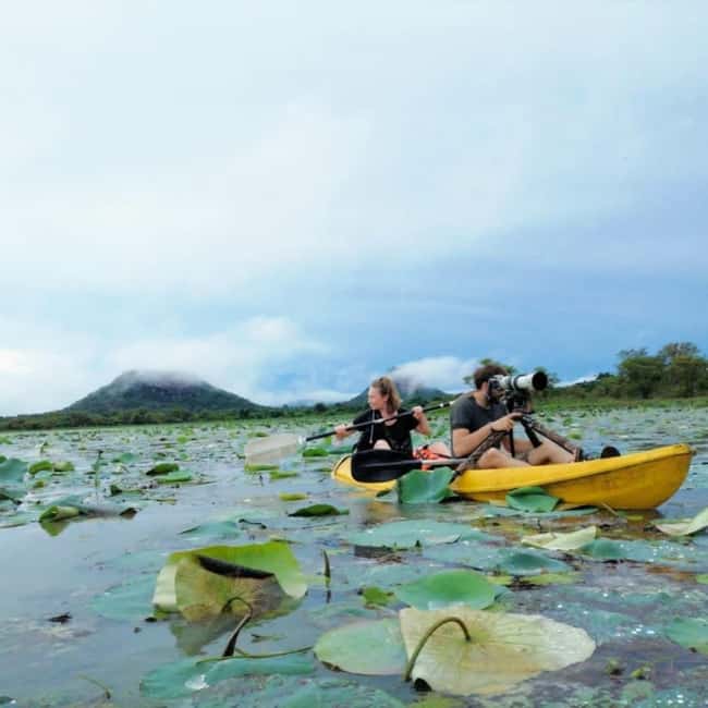 Sigiriya: Sunrise or Sunset Kayaking Tour - Why Thalkote Lake Makes a Good Sigiriya Break