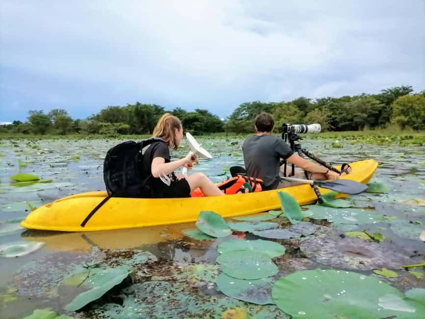Sigiriya: Sunrise or Sunset Kayaking Tour - Birds, Water Buffalo, and the Quiet Side of the Area