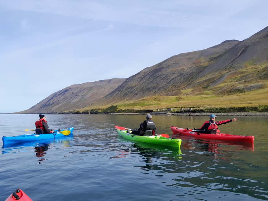 Siglufjörður / Siglufjordur: Guided kayak tour. - What the $107 Price Includes