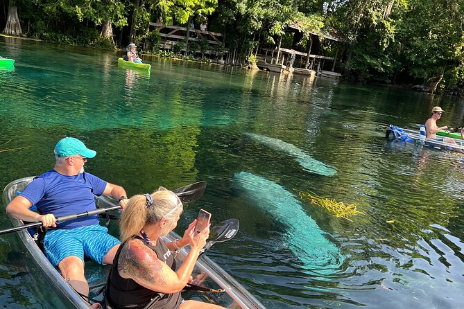 Silver Springs Clear Kayak Manatee, Monkey & Wildlife Adventures - Why Silver Springs is worth the drive from Orlando