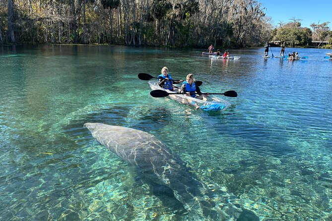 Silver Springs Clear Kayak Manatee, Monkey & Wildlife Adventures - Making it a full Silver Springs day