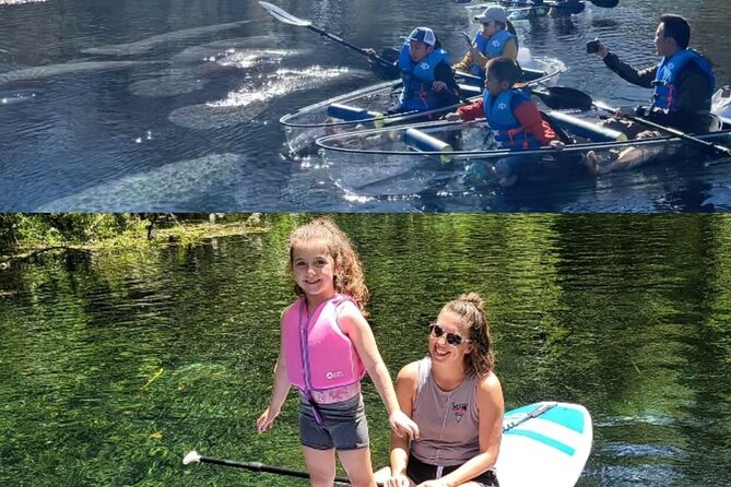 Silver Springs Clear Kayak Manatee, Monkey & Wildlife Adventures - What happens during the two-hour paddle
