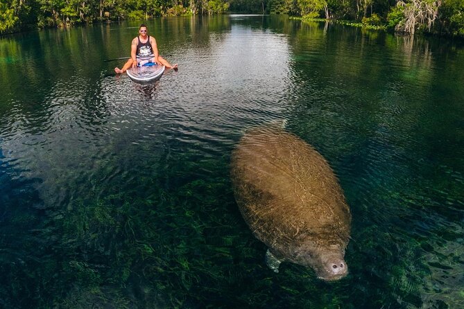 Silver Springs: Clear Kayak Wildlife Adventure - Paddling the spring-fed Silver River