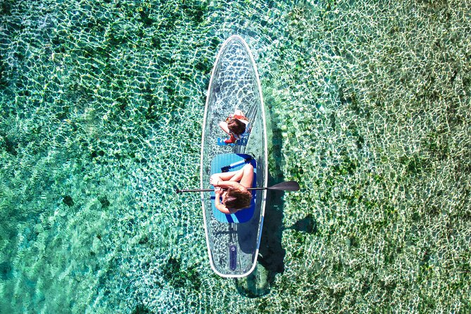 Silver Springs: Clear Kayak Wildlife Adventure - Heat, hydration, and the right level of effort