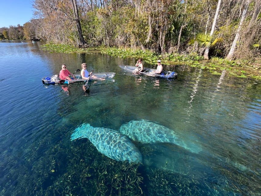 Silver Springs: Clear Kayak Wildlife Tour - Key points to know before you paddle