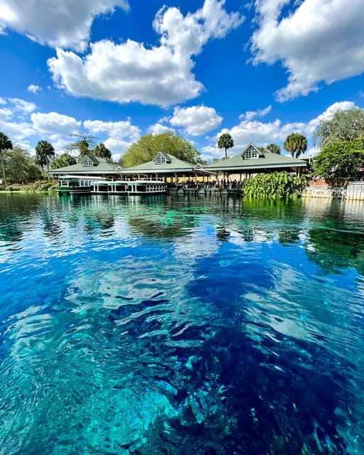 Silver Springs: Clear Kayak Wildlife Tour - What the 90-minute or two-hour route feels like