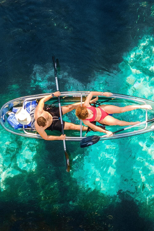 Silver Springs: Clear Kayak Wildlife Tour - Starting at the Silver Springs State Park launch