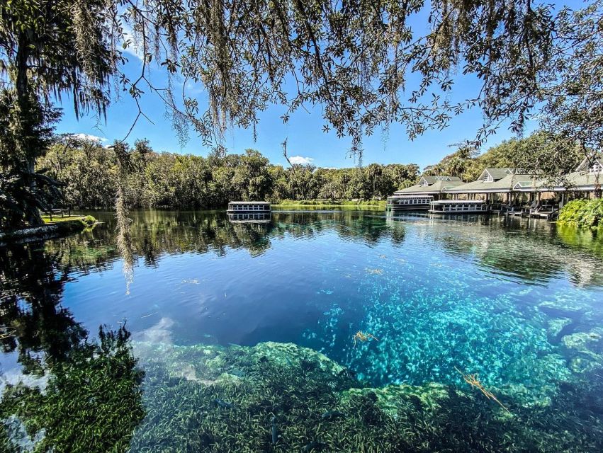 Silver Springs: Glass Bottom Kayak and Wildlife Tour - The bottom line: should you book it?