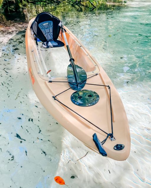 Silver Springs: Glass Bottom Kayak and Wildlife Tour - Paddling over the springs