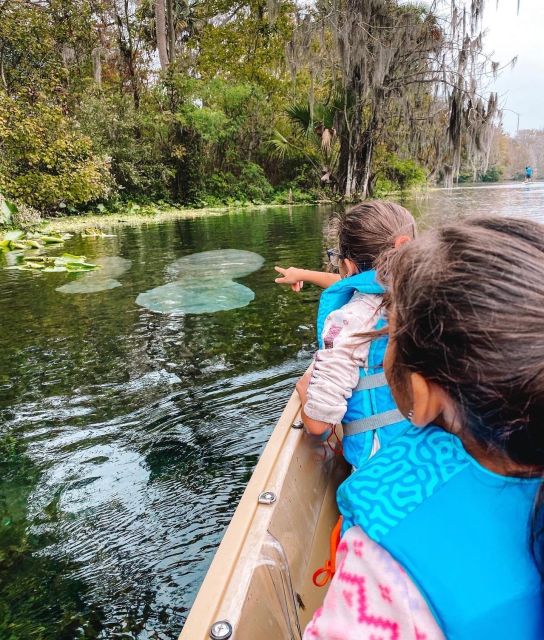 Silver Springs: Glass Bottom Kayak and Wildlife Tour - Wildlife watching without disturbing the animals