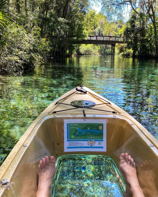 Silver Springs: Glass Bottom Kayak and Wildlife Tour - Timing, comfort, and who should book